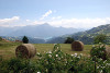 Route forestière de Mont Guillaume